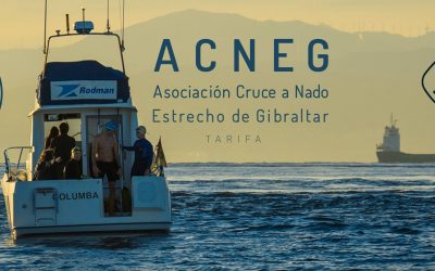 THE STRAIT OF GIBRALTAR AND GIBRALTAR SWIMMING ASSOCIATION (ACNEG)